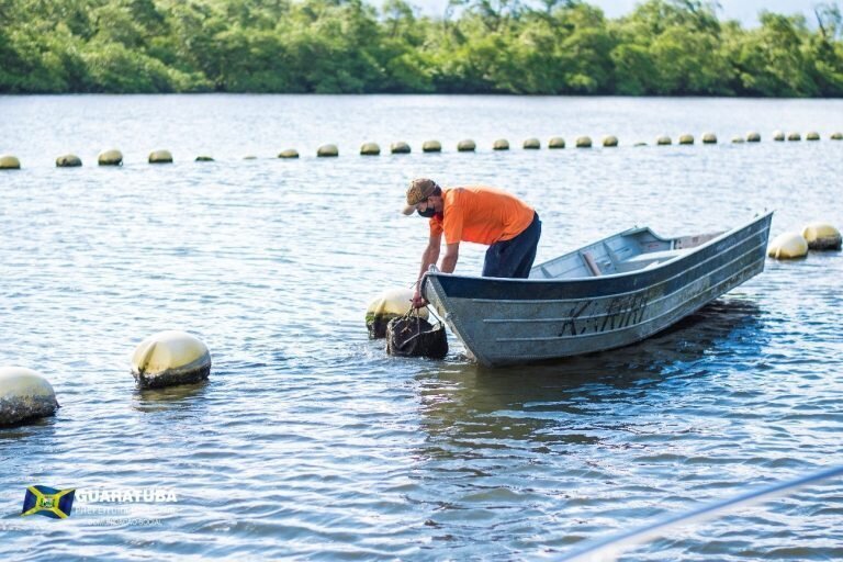 Foto: Correio do Litoral / Reprodução