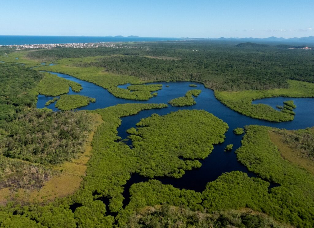 Foto: Edgar Fernandez / Instituto Guaju