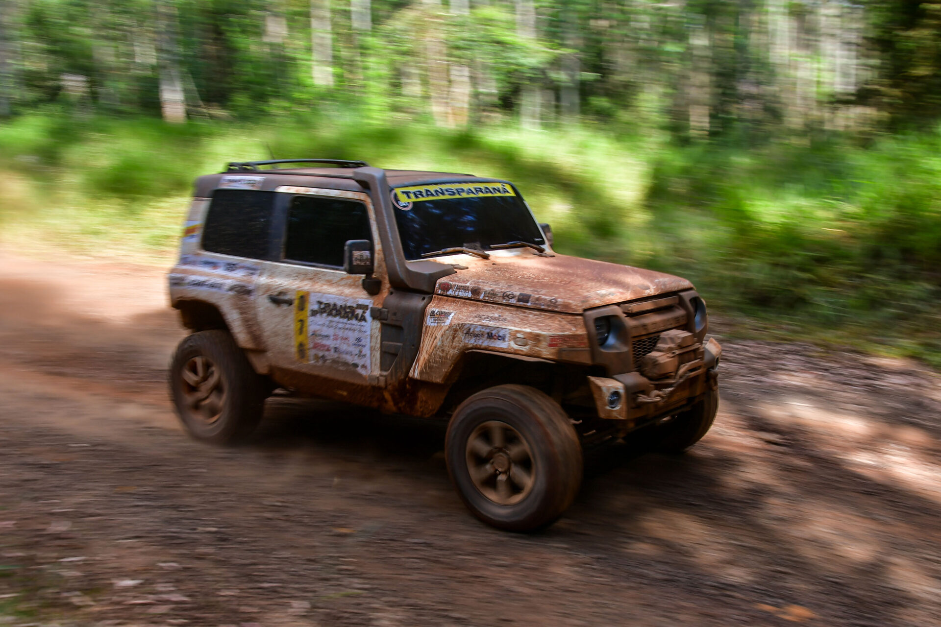 Foto: Dom Fotografia