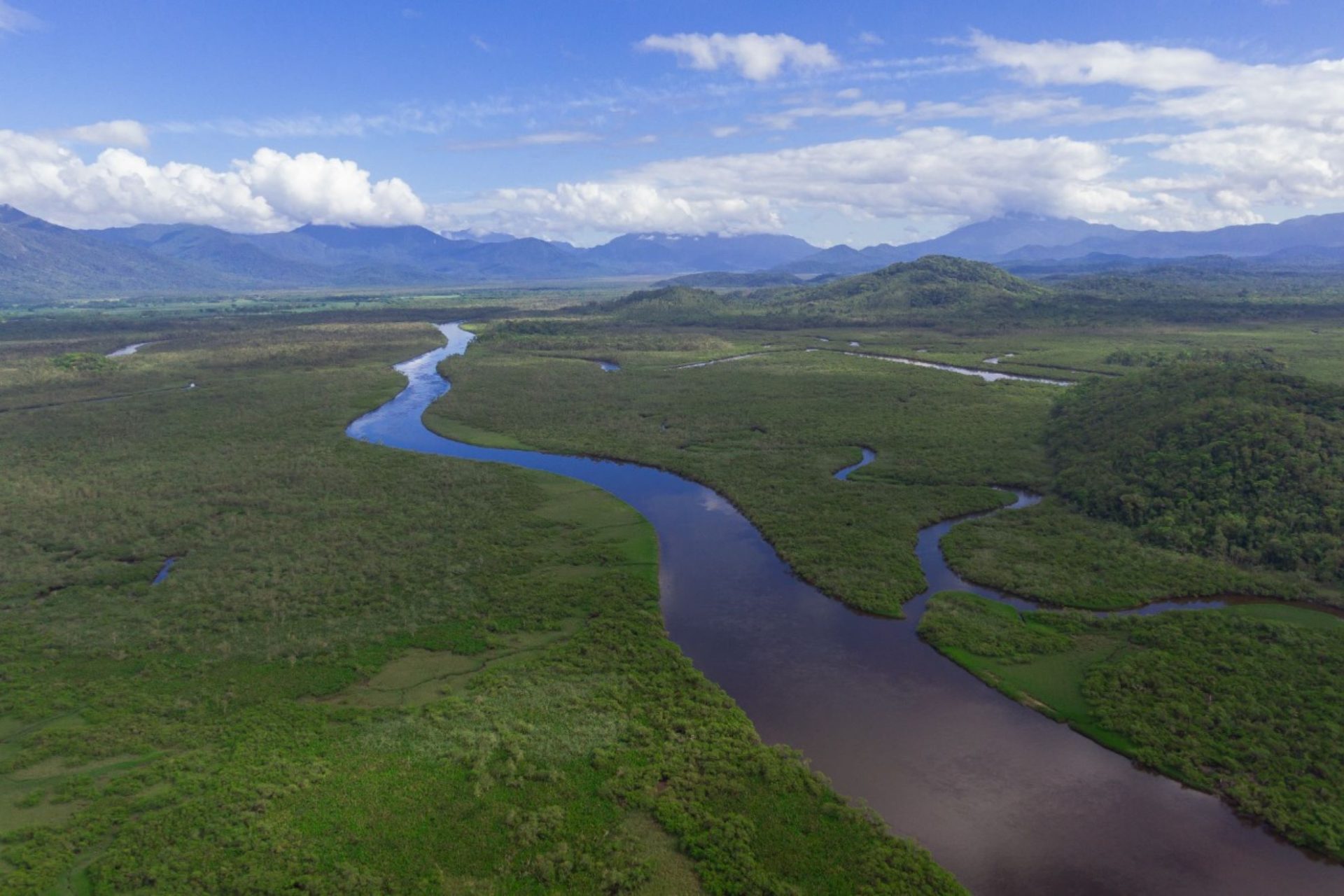 Foto: Divulgação Grande Reserva Mata Atlântica/Reginaldo Ferreira/Gabriel Marchi