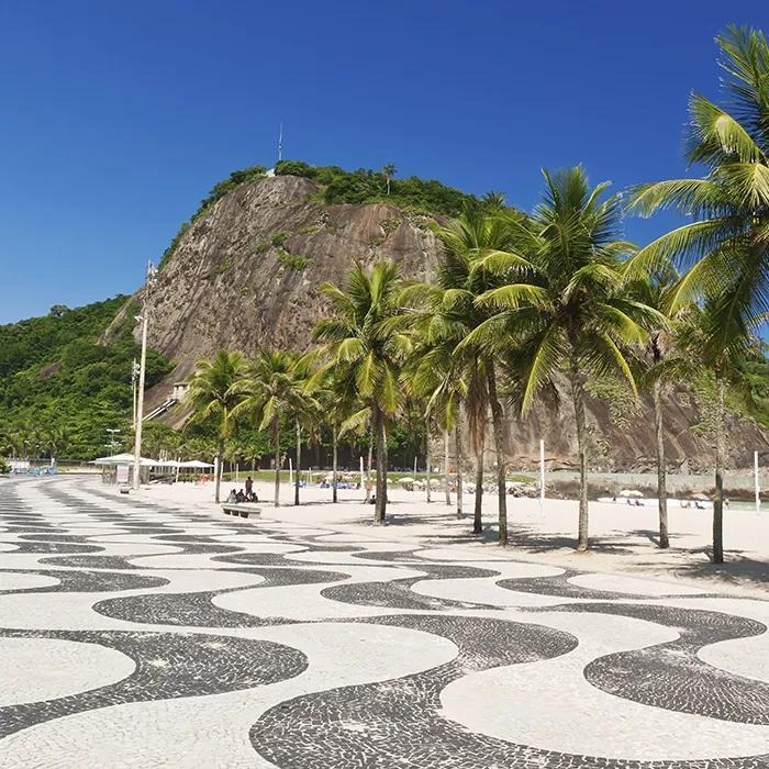 Burle Marx revolucionou o paisagismo ao valorizar espécies nativas e integrar natureza à arquitetura brasileiraPaisagismo: Roberto Burle Marx Fonte: Instituto Burle Marx / ArchDaily.
