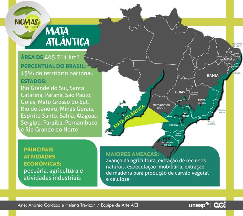Mata Atlântica