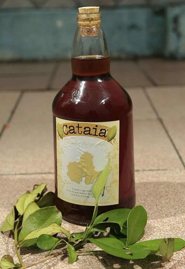 Cataia, bebida tradicional caiçara do litoral do Paraná